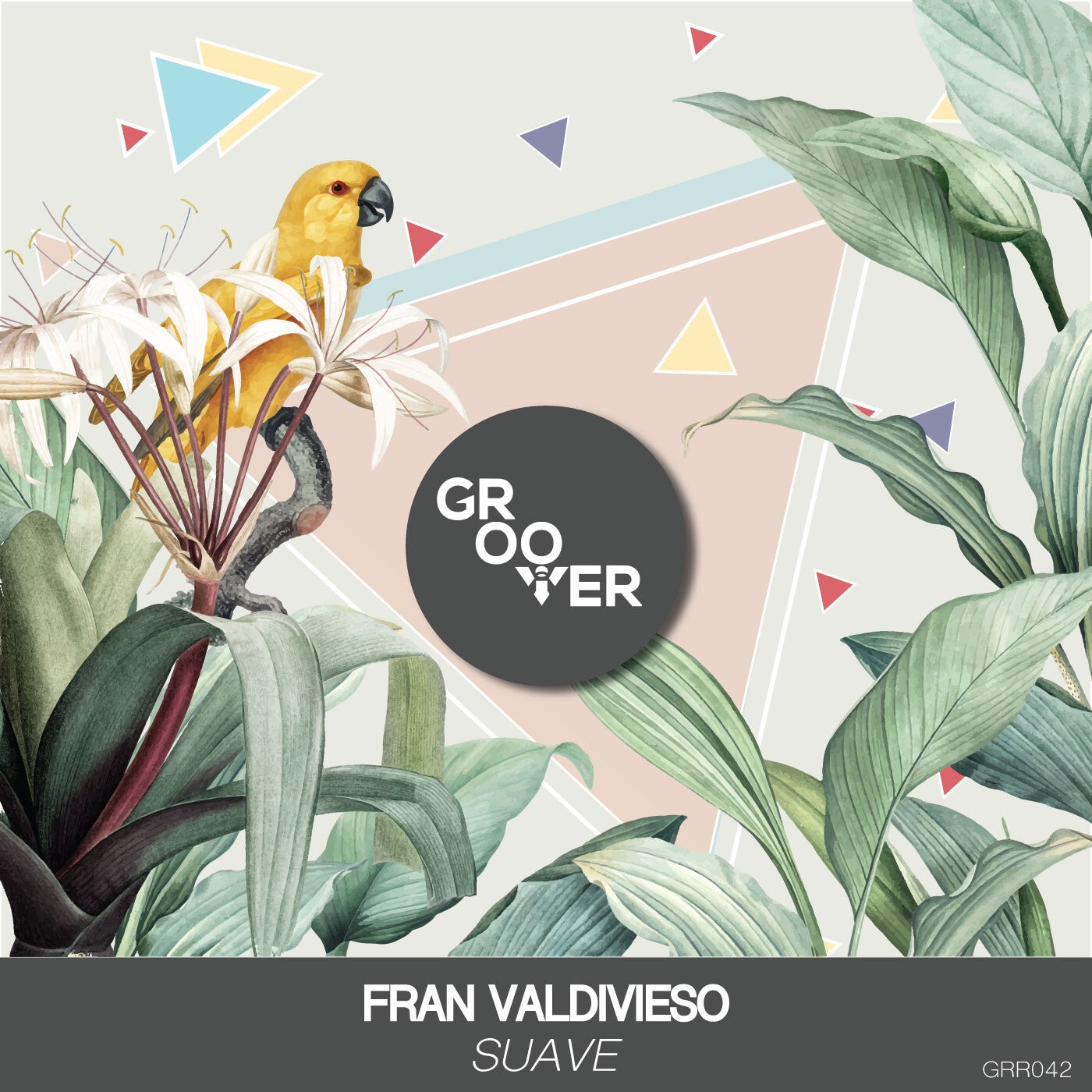 Fran Valdivieso - Suave [GRR042]